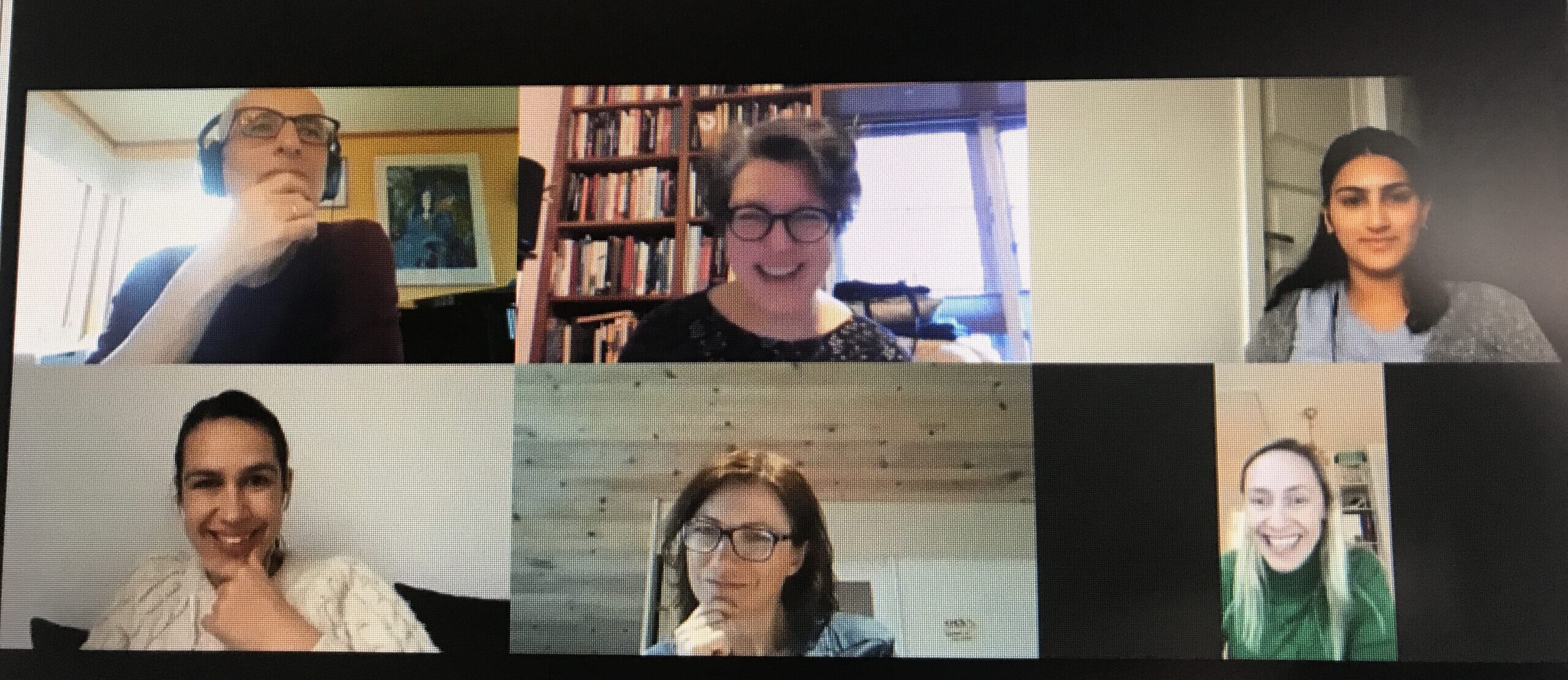 photo from zoom of the first six participants at the Ahus microanalysis workshop, taken in April 2020